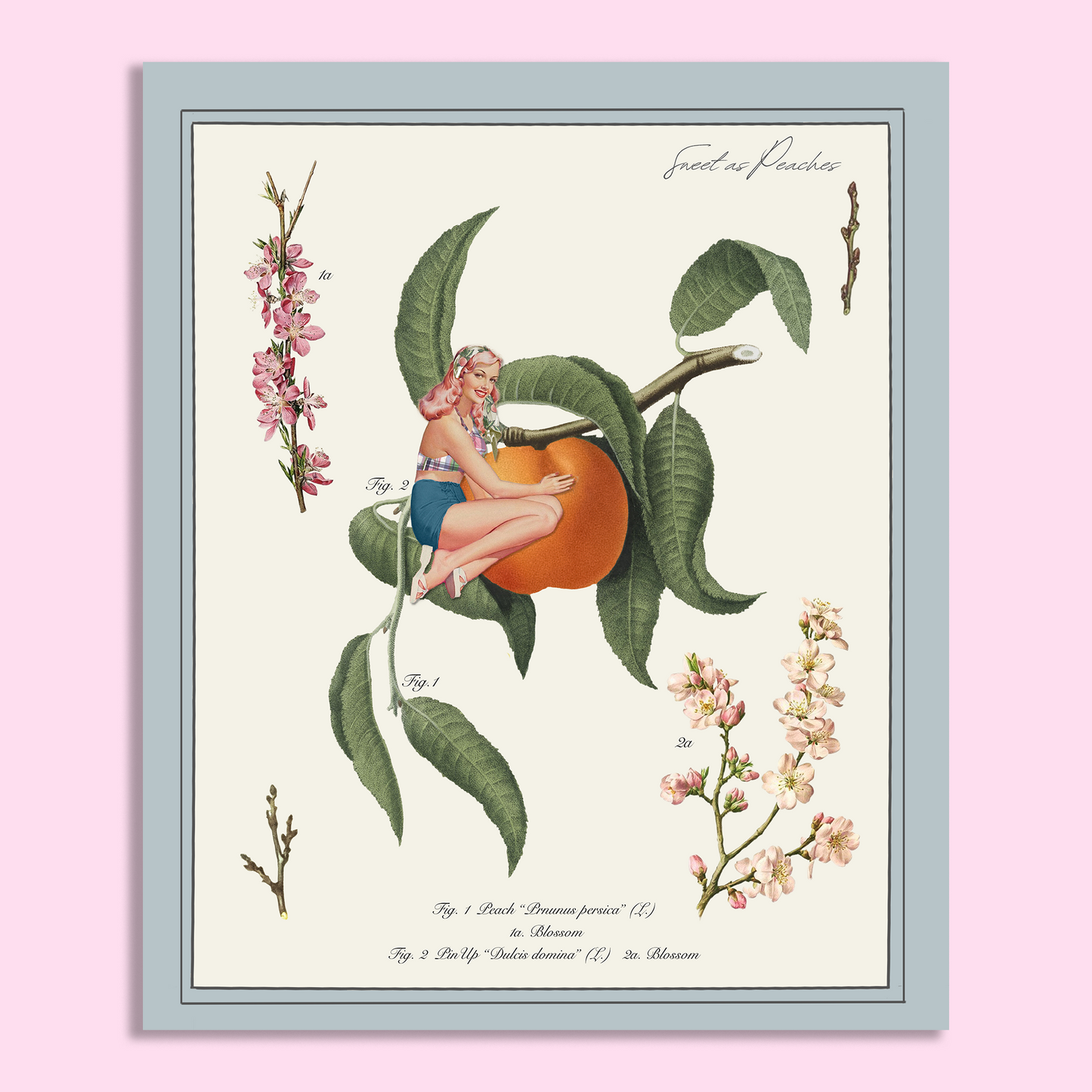 Poster Prints "Sweet As Peaches"